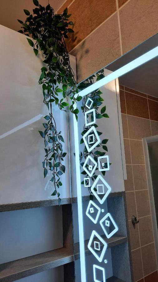 Apartman Modena Lux Vrnjačka Banja Εξωτερικό φωτογραφία